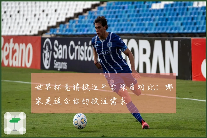 世界杯竞猜投注平台深度对比：哪家更适合你的投注需求