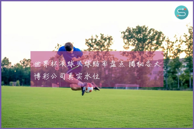 世界杯滚球买球赔率盘点 揭秘各大博彩公司真实水位