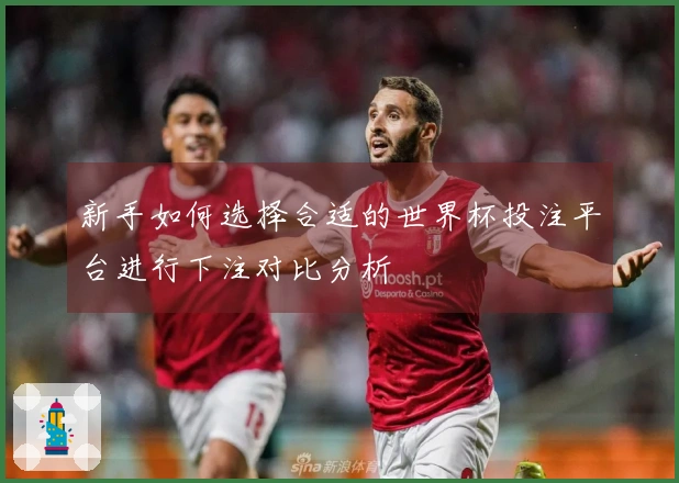 新手如何选择合适的世界杯投注平台进行下注对比分析