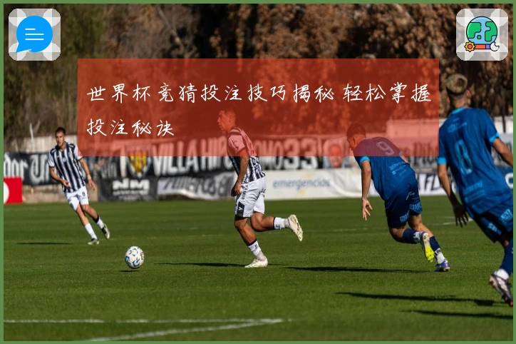 世界杯竞猜投注技巧揭秘 轻松掌握投注秘诀