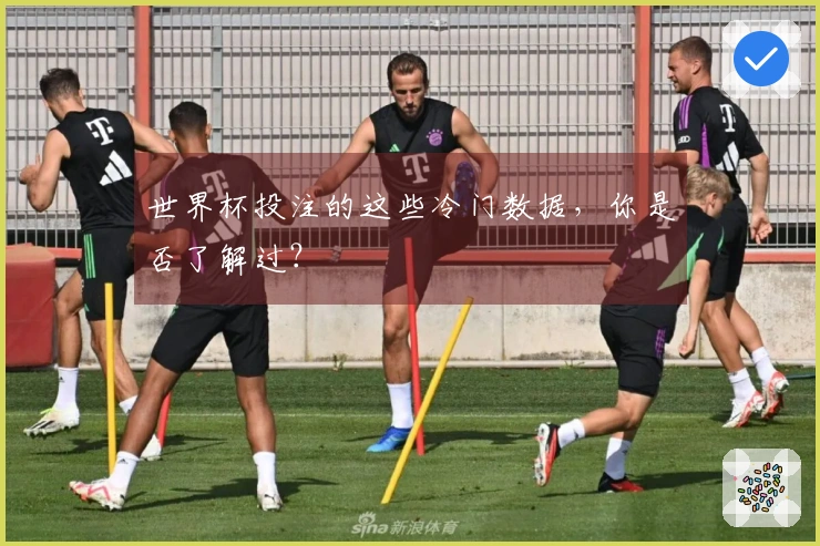 世界杯投注的这些冷门数据，你是否了解过？
