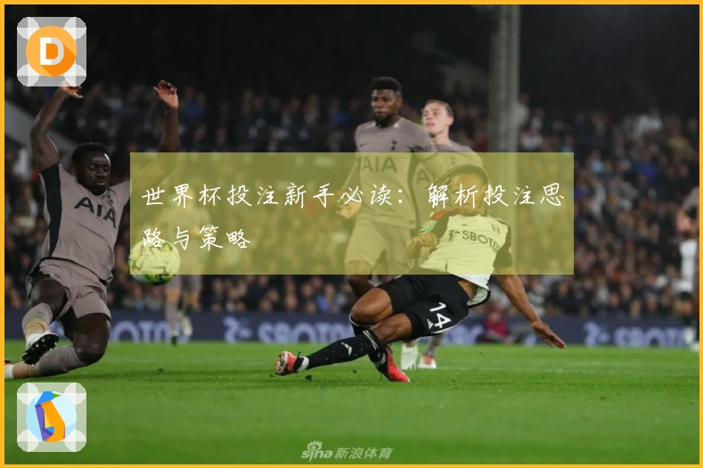 世界杯投注新手必读：解析投注思路与策略
