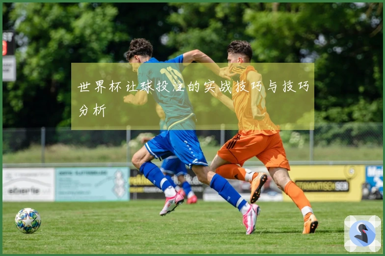 世界杯让球投注的实战技巧与技巧分析