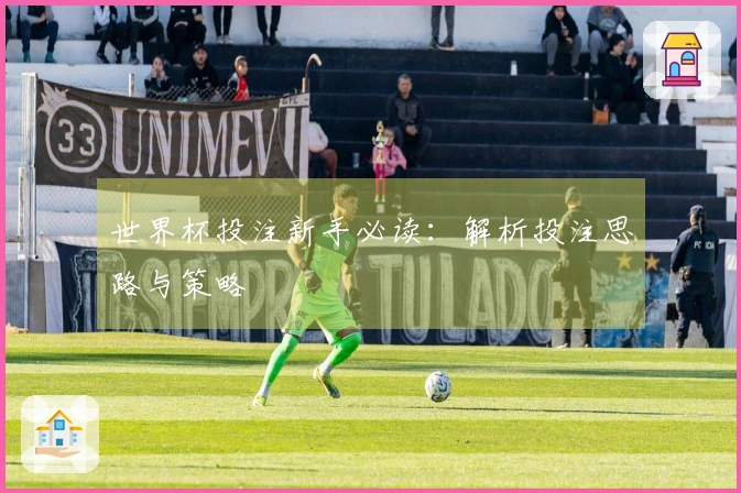 世界杯投注新手必读：解析投注思路与策略