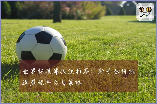世界杯滚球投注推荐：新手如何挑选最优平台与策略