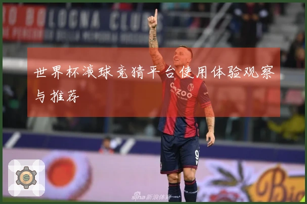 世界杯滚球竞猜平台使用体验观察与推荐