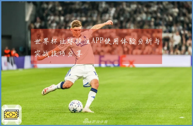 世界杯让球投注APP使用体验分析与实战技巧分享