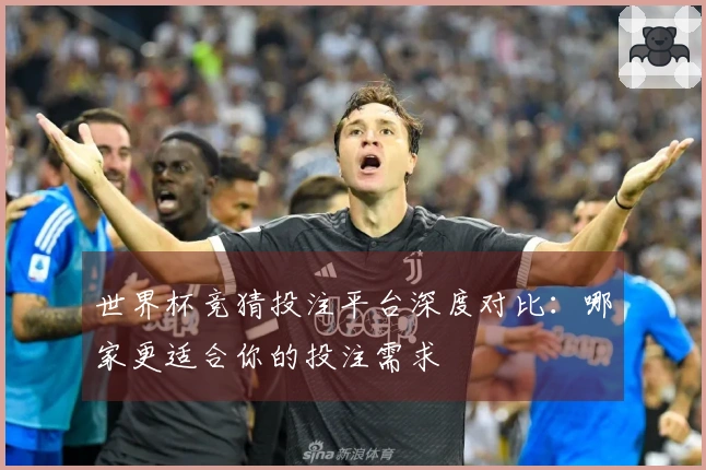 世界杯竞猜投注平台深度对比：哪家更适合你的投注需求