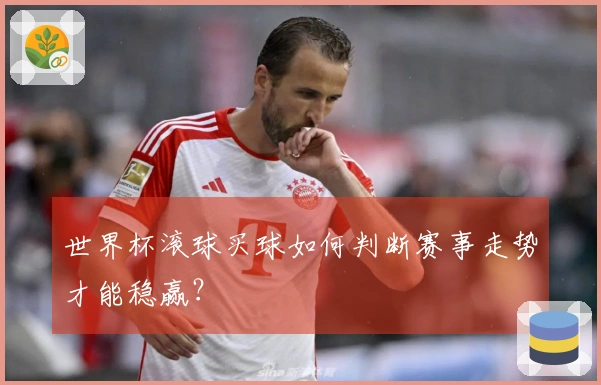 世界杯滚球买球如何判断赛事走势才能稳赢？